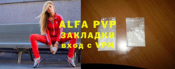 индика Медвежьегорск