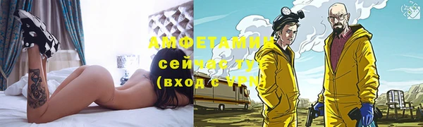 индика Медвежьегорск