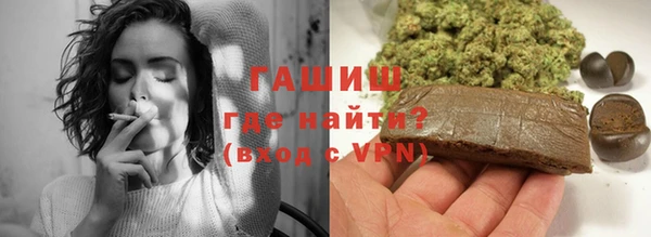 индика Медвежьегорск