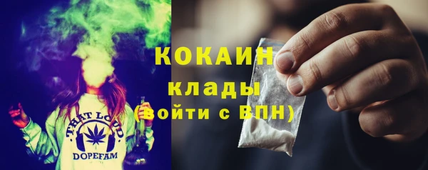 индика Медвежьегорск