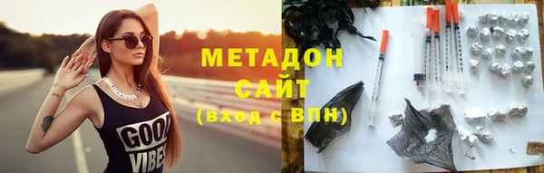 индика Медвежьегорск