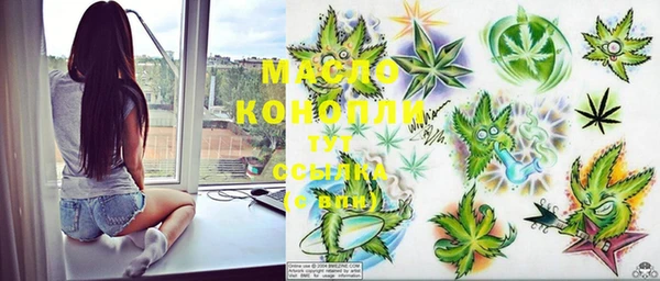 индика Медвежьегорск
