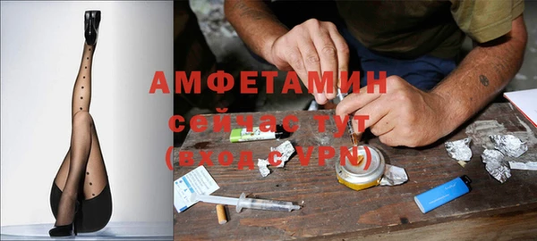 индика Медвежьегорск