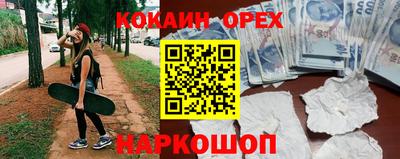 шишки Донской