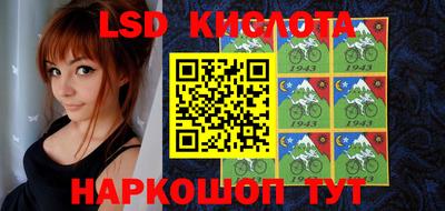 шишки Донской