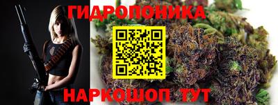 шишки Донской