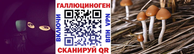 Псилоцибиновые грибы Cubensis  Кировск 