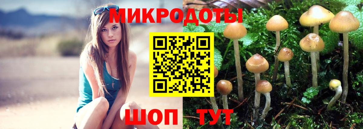 Кировск  Псилоцибиновые грибы ЛСД  Вход с VPN 